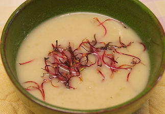 CRema de fonoll i poma_edited.jpg