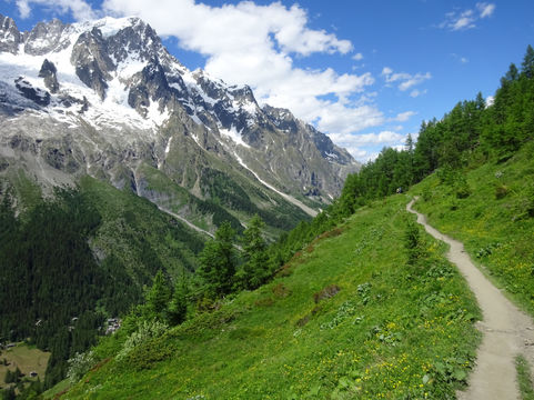 Trail with a mountain view