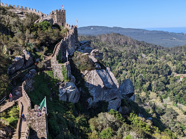 Ancient  castle in the forest