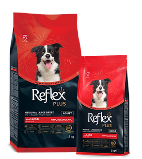 Alimento seco de cordero para perros adultos de razas medianas y grandes 12kg