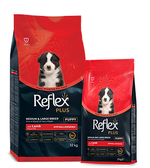Alimento seco de cordero para perros cachorros de razas medianas y grandes 12kg