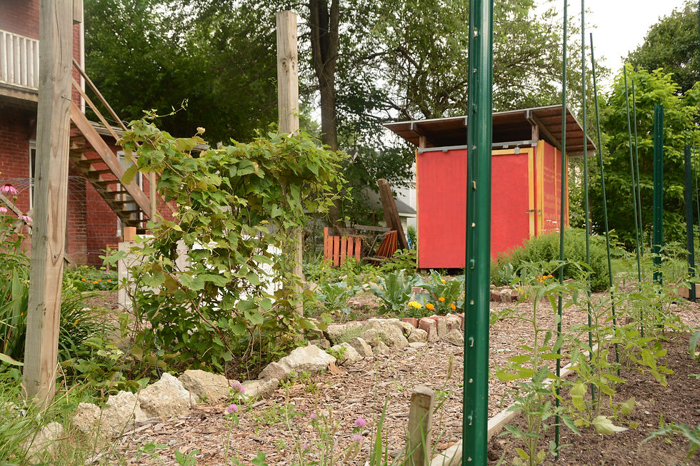 Garden
