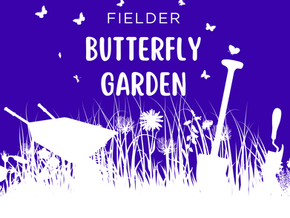 Butterfly Garden