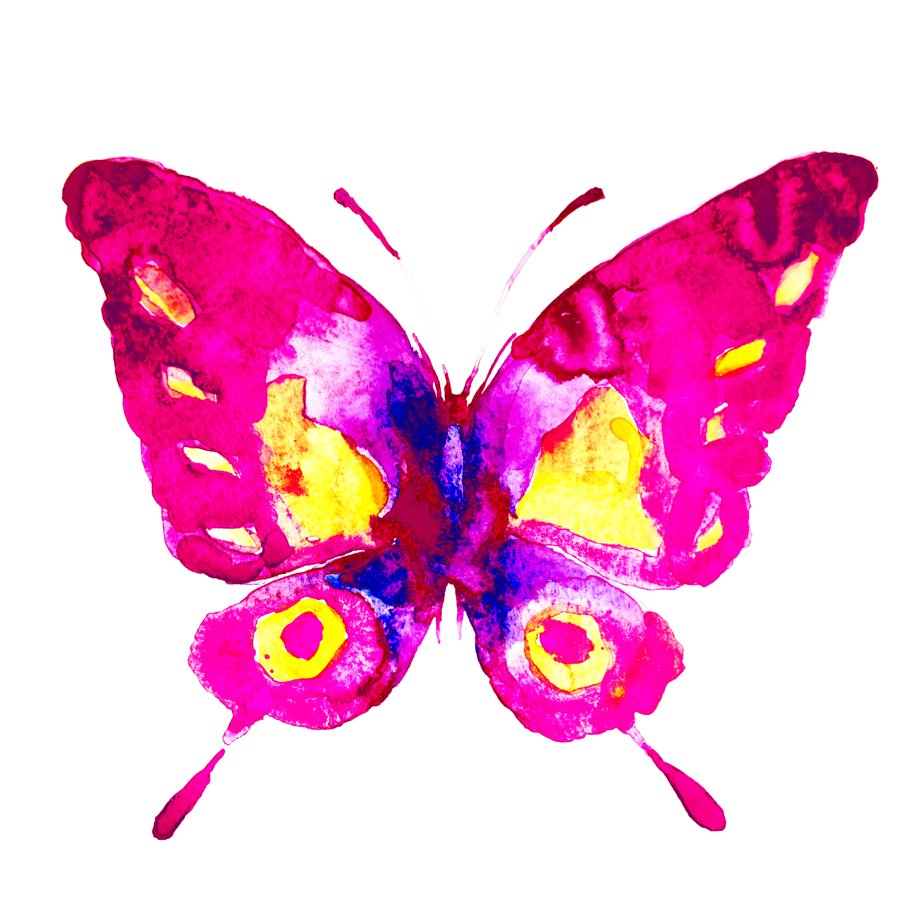Farfalla acquerello dai colori vivaci.