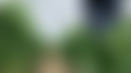 Want peace of mind for your crops? Install Leaf Guardian and stay ahead of plant health issues before they even start!