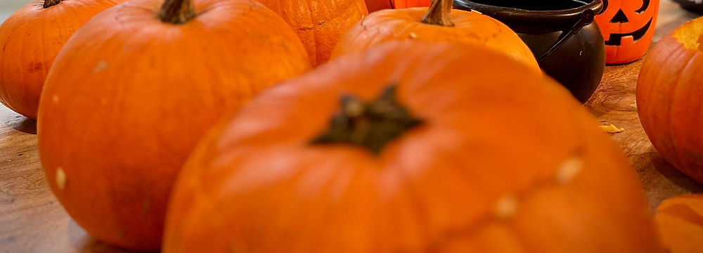 Pumpkin Carving Workshop