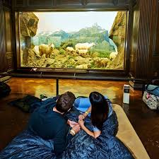 late night date at the natural history museum