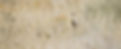 ALX10749-2_edited.jpg