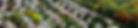 sophie-n-07e4oG8M6ow-unsplash (1)_edited.jpg