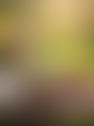 Ostara – Dein Frühlingsritual