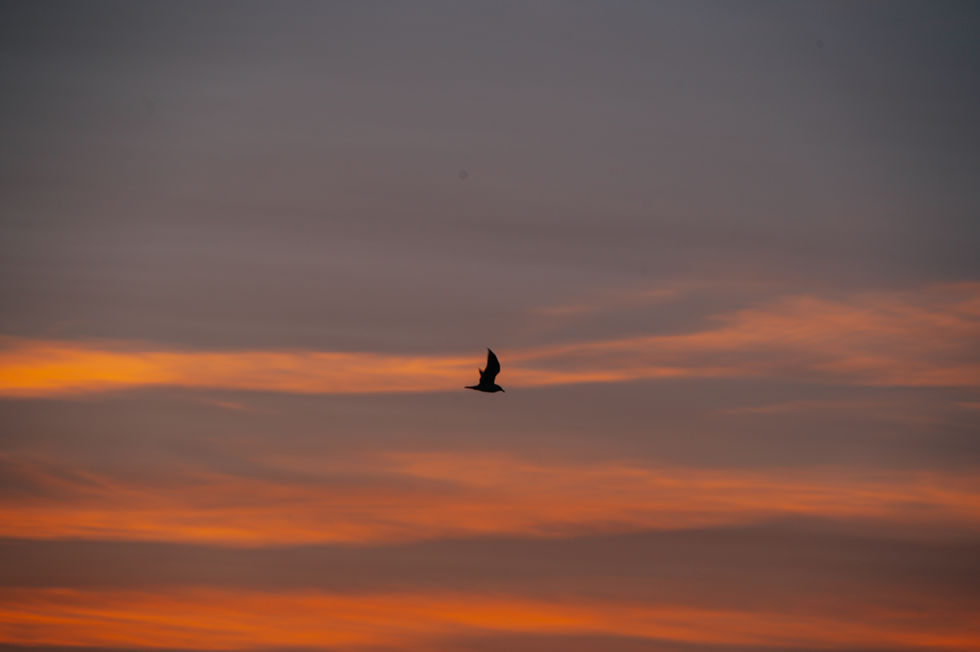 DSC_0661