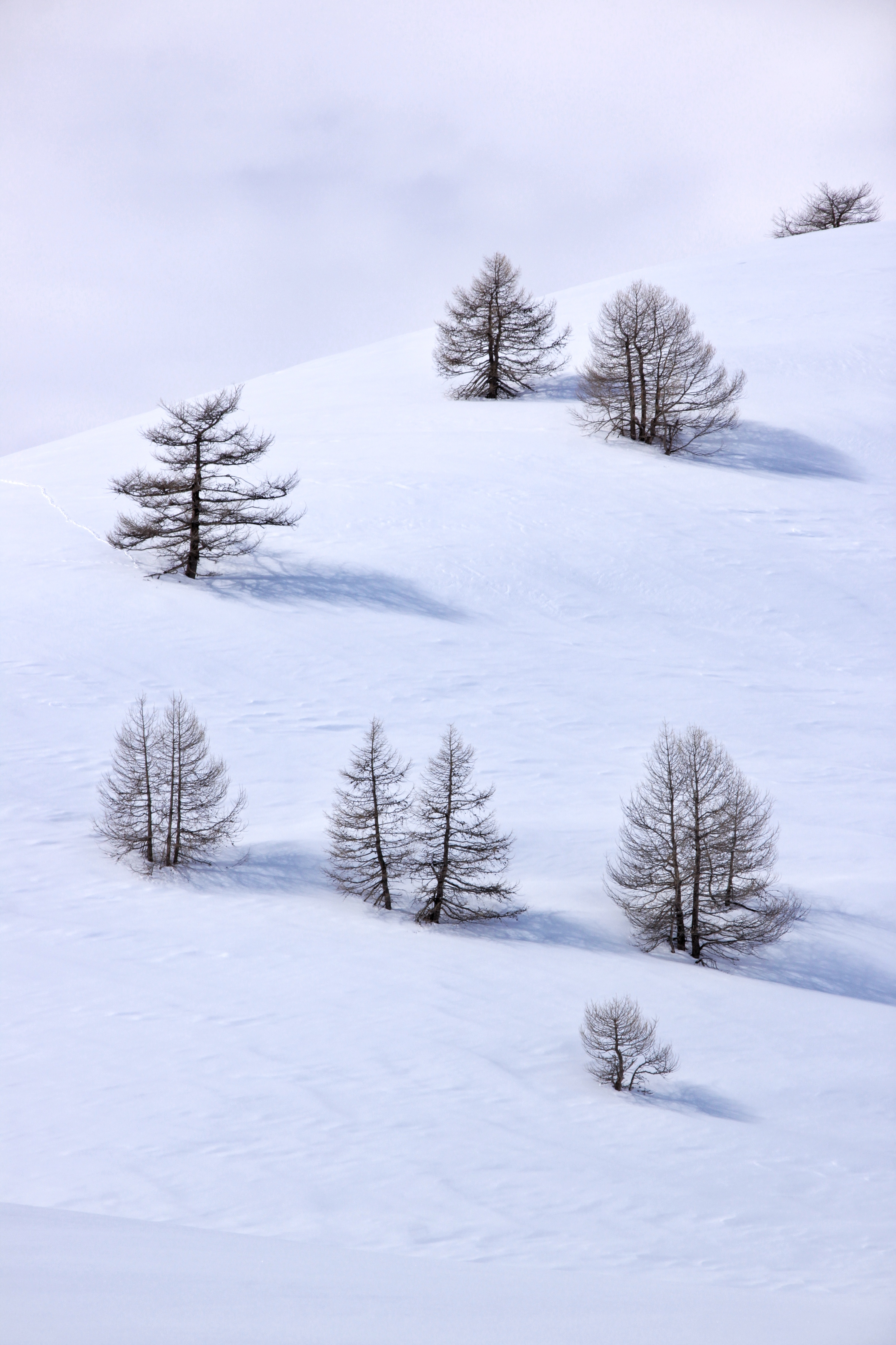 Col de Larche