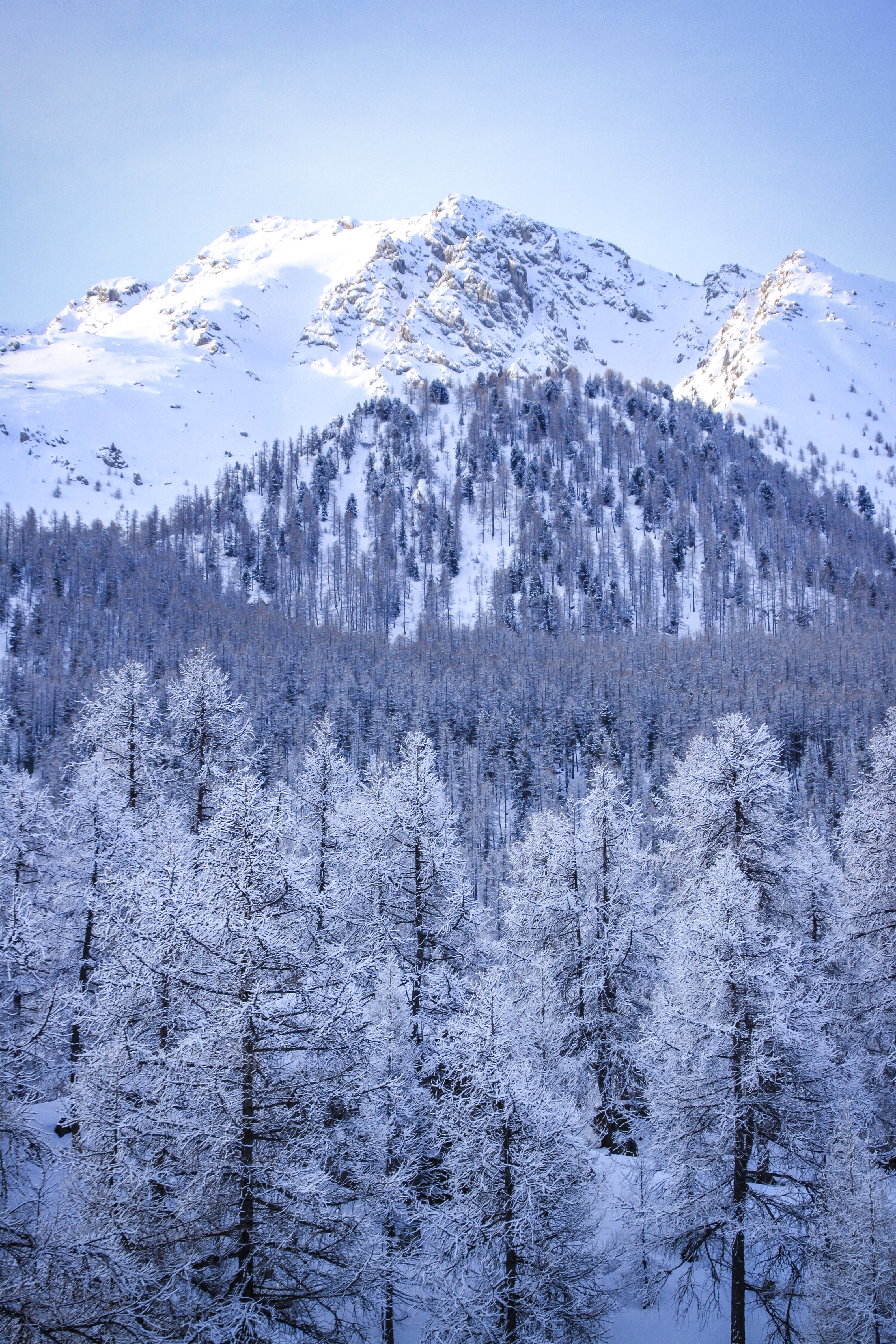Vue depuis le gîte