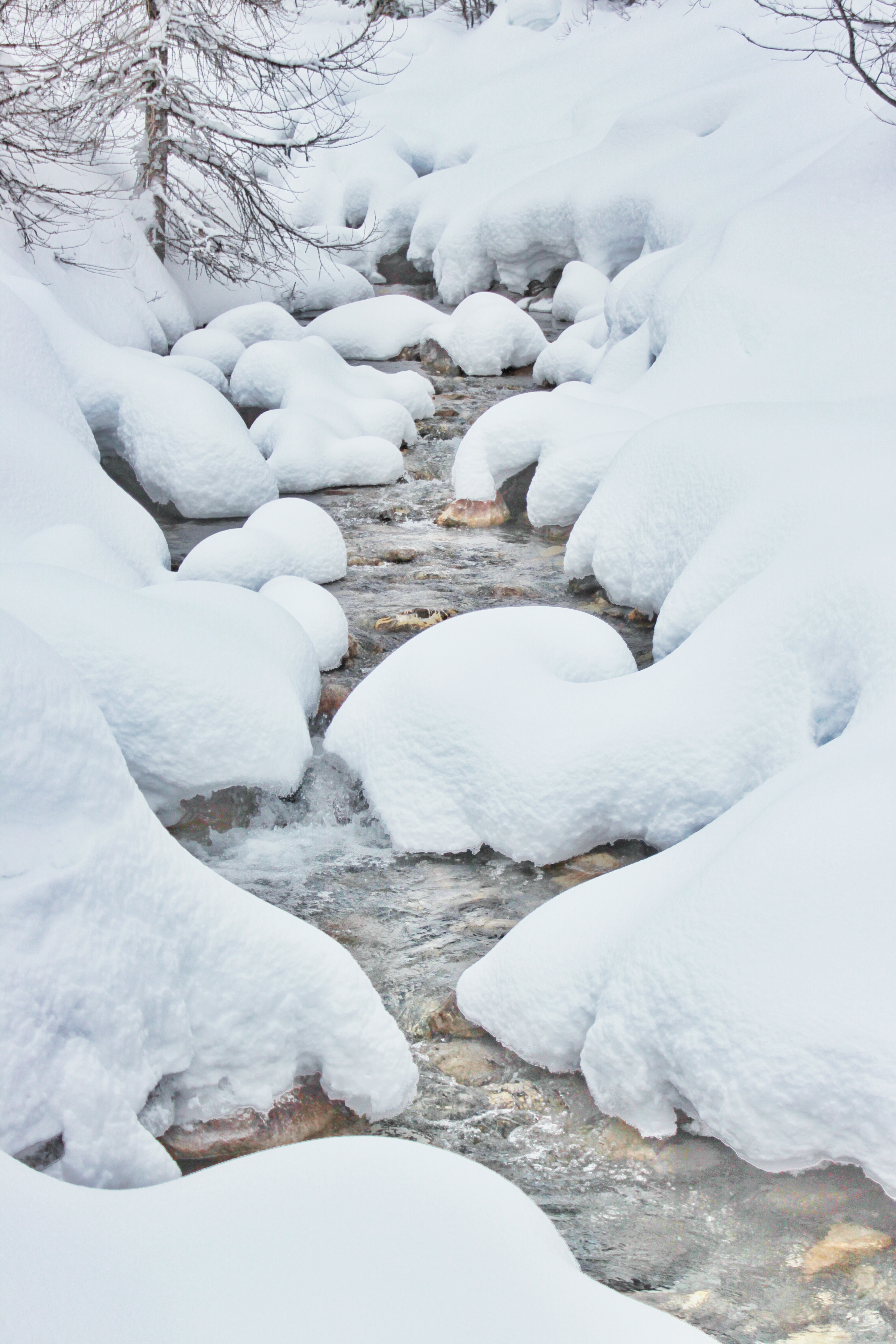 La Baragne en hiver