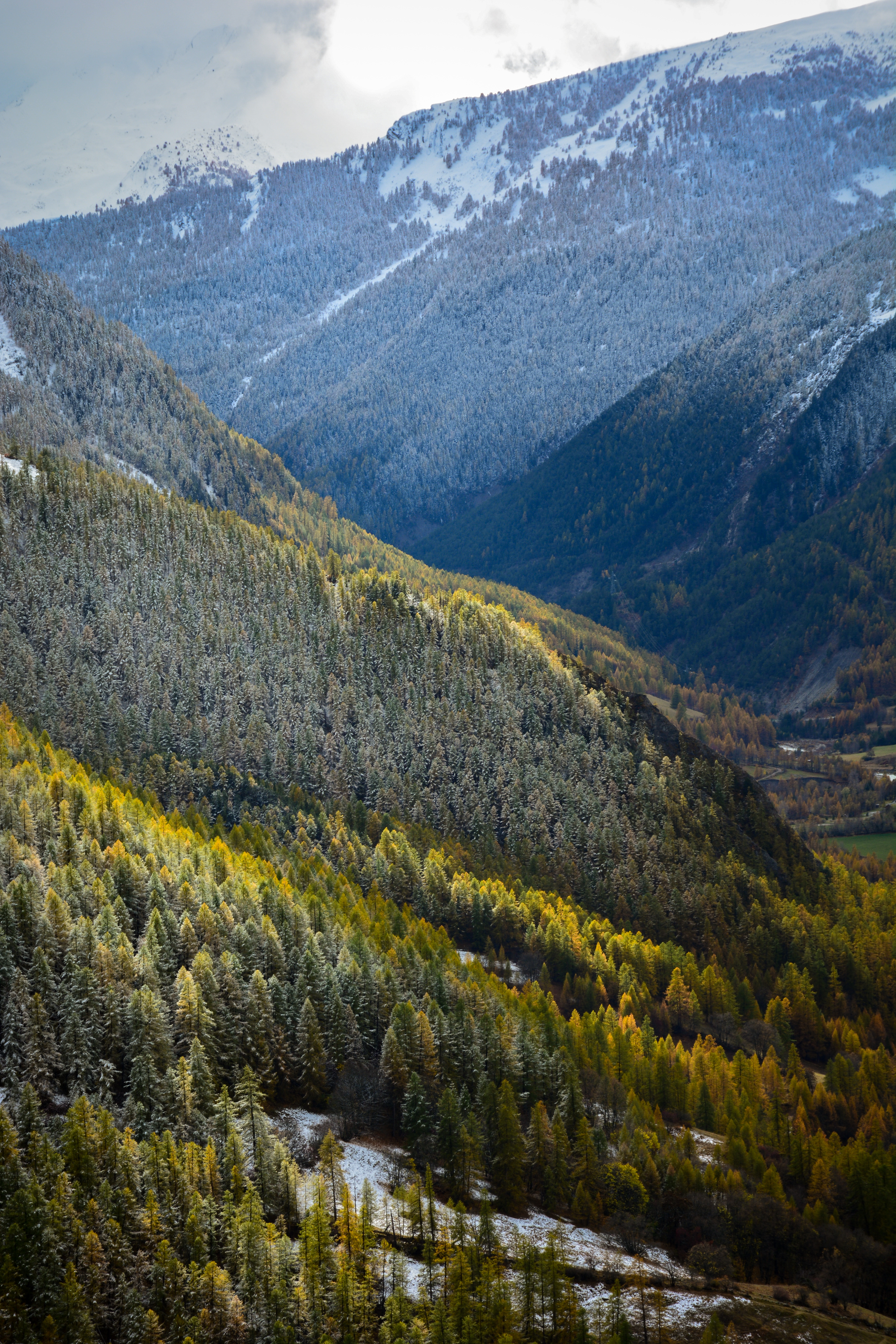 Vue sur la vallée