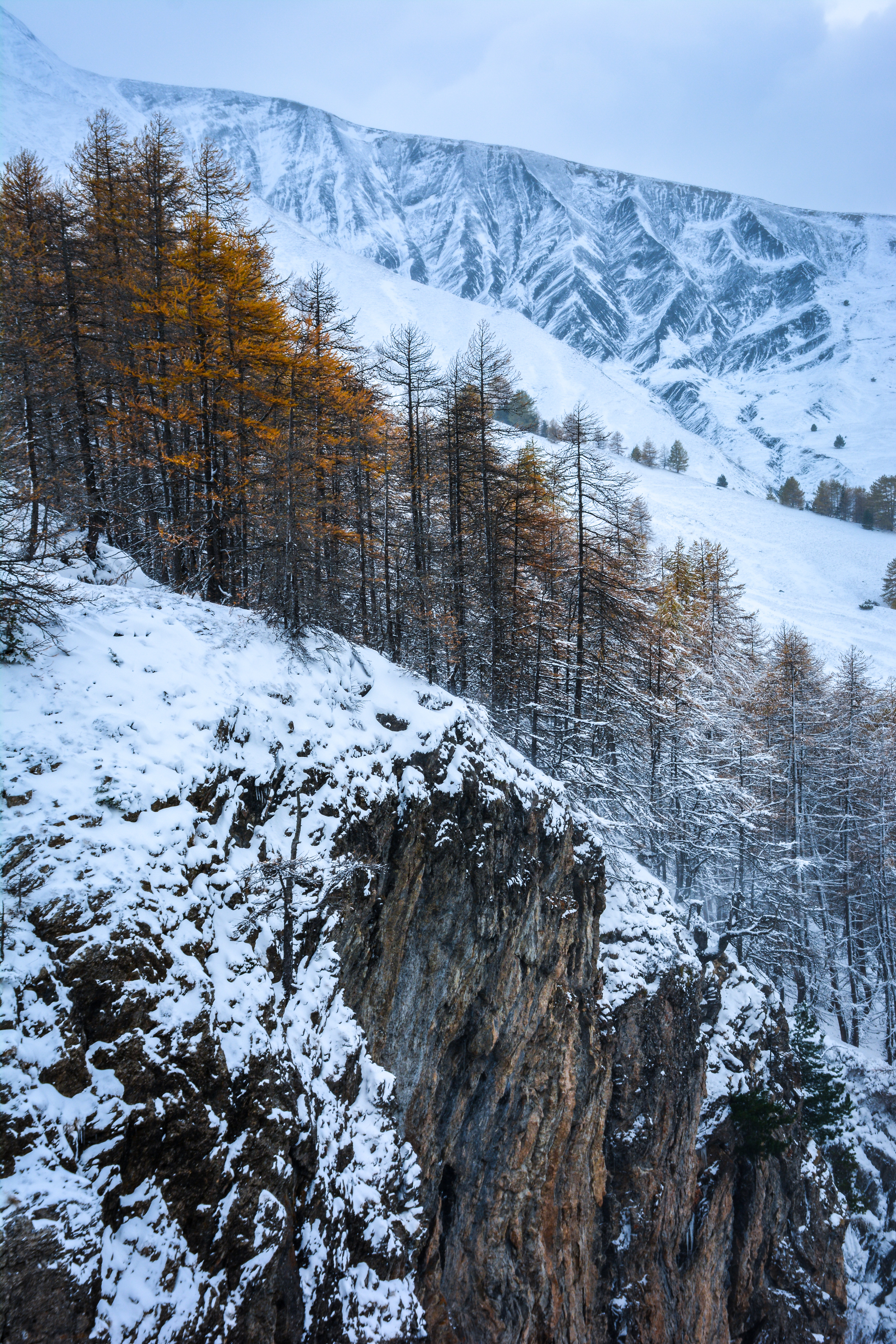Depuis la route de la Bonette