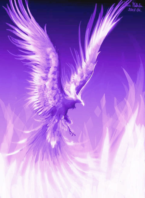 phoenix purple_edited_edited.jpg