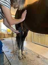 Partial Menicus-rupture 3.jpg