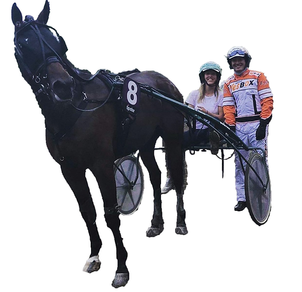 Hest Trav med kusk redigert.png