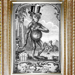 The Monkey Who Made This 