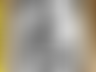 The Monkey Who Made This 