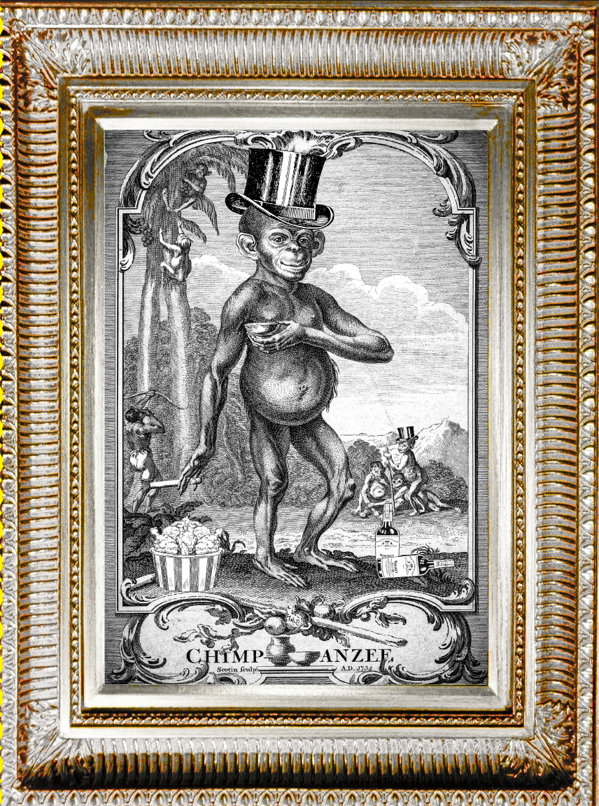 The Monkey Who Made This 