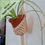 Thumbnail: Macrame Plant Pod Kit.