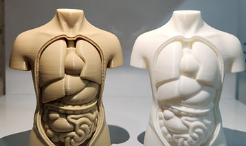 WhatsApp Image 2025-11-12 at 8.21.19 PM.jpeg