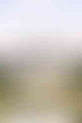 New Jersey Wedding Venue for 2027 bride