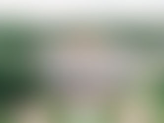 Photograph of Elkins Estate by Hope Helmuth