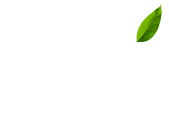 Logo Nutri Expert