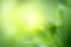 iStock-1175922555_3000x2000.jpg
