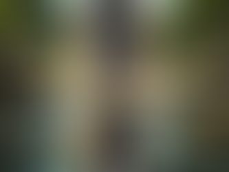 Твърде романтичната представа за проблема Нарцисизъм