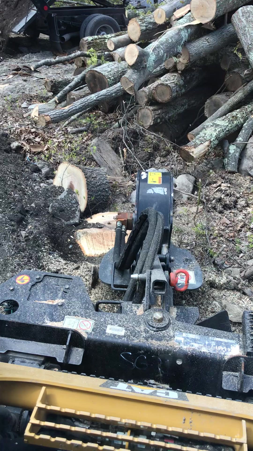 Stump Grinding