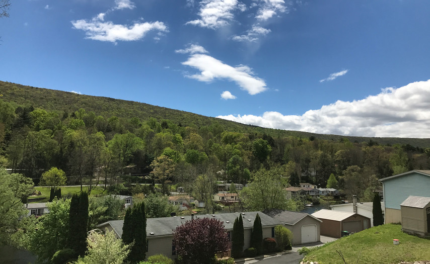 Blue Mountain Village | website