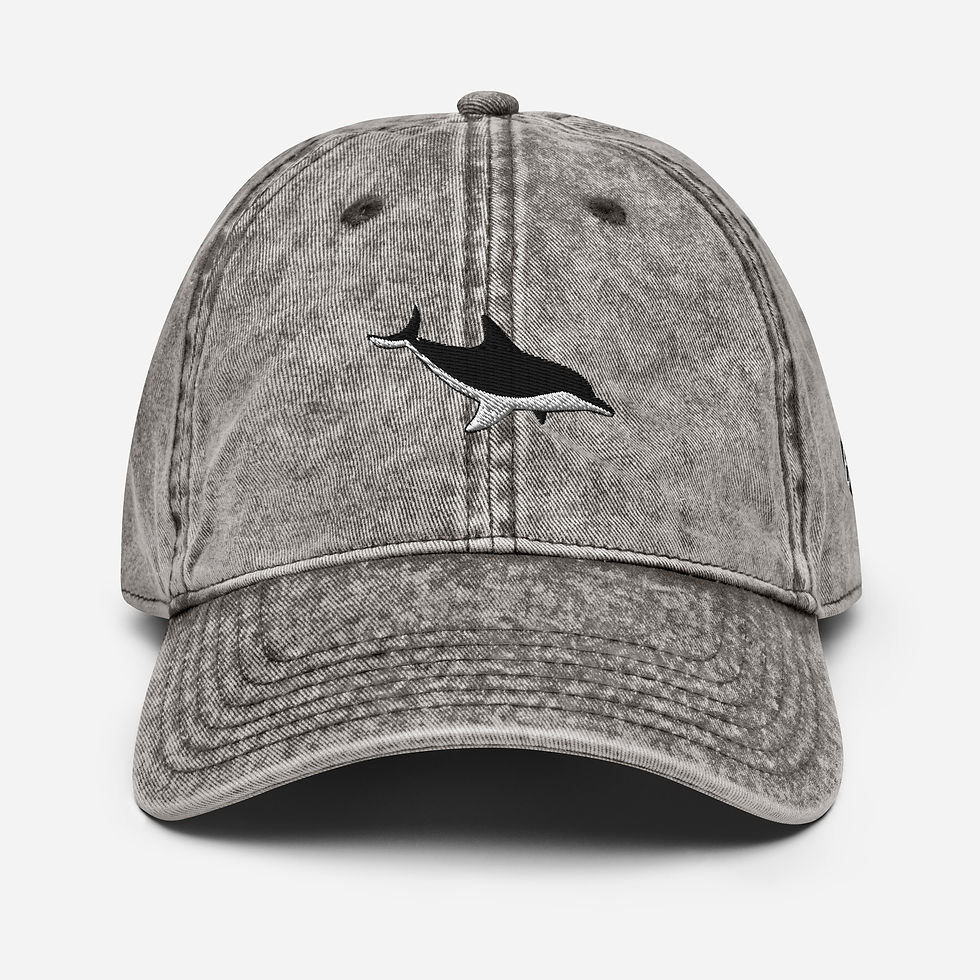 Thumbnail: Dolphin - Minimalist Vintage Cap