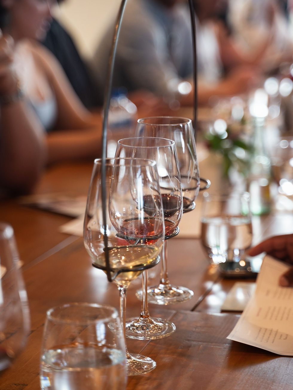Untamed Wine Estates in Johnson City Texas or Hye Texas near Wrenwood Ranch