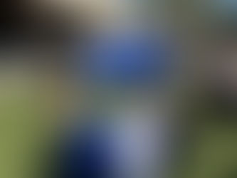 Meeting Chip Gaines at the Magnolia Silos in Waco Texas at the Advice Booth