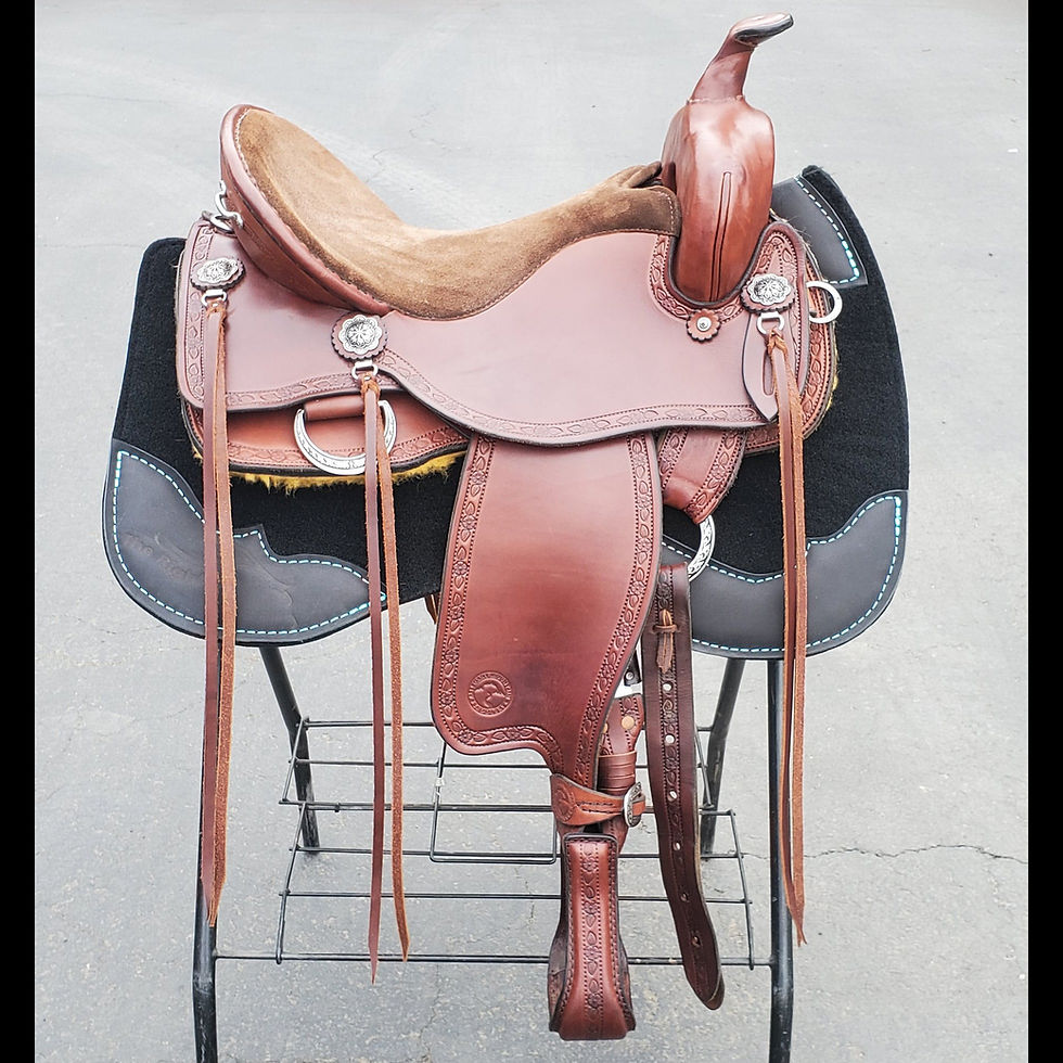Thumbnail: 16.5" Allegany Performance FQHB "DF" Western All Around Saddle