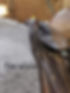 English saddle too wide for horse