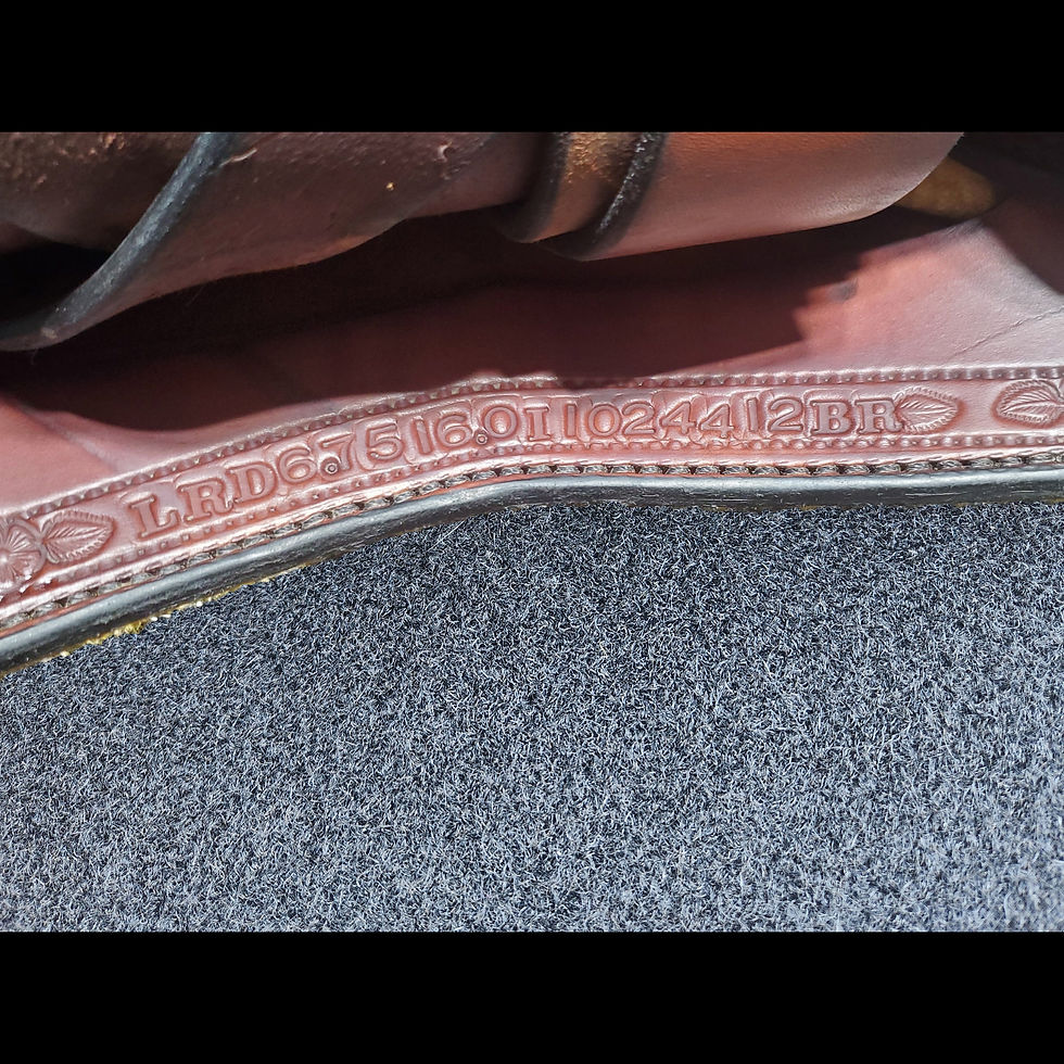 Thumbnail: 16" Custom Allegany Western All-Around saddle with D/ FQHB tree