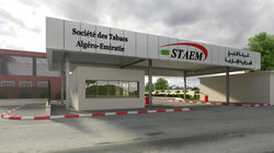 usine-tabac-kolea1