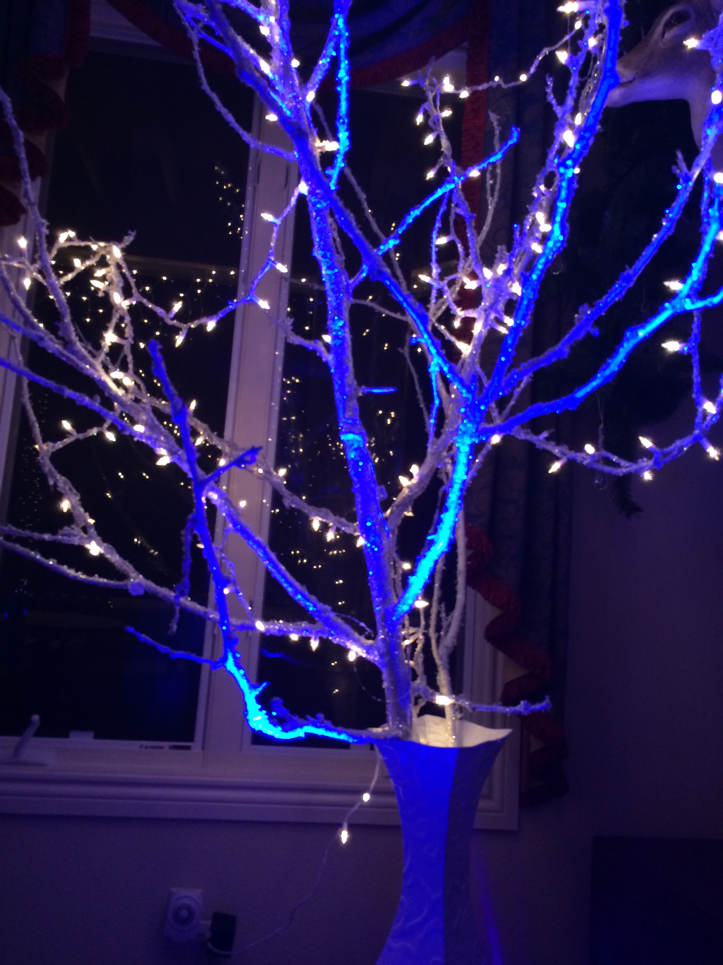 blue & white event decor - Party planner Denver.jpeg