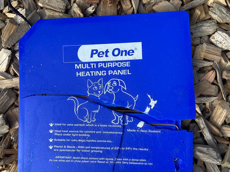 The Great Cat Heat Pad Hunt – Winter Edition