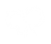 BP white butterfly logo