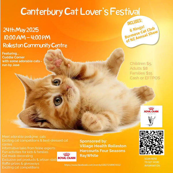 Cat Lovers - Made with PosterMyWall (5).jpg