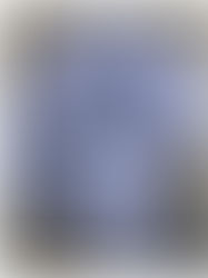 PoShunary (Dictionary of the Po’)