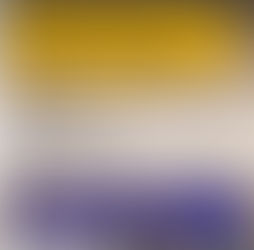 1st Annual Seminar on Trans-National Strategies in Erasing Black Ableism