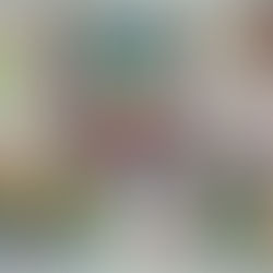 В п’ятому класі по композиціі є така тема «Майстерня відомого художника»