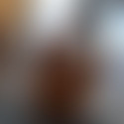 Спочатку була українська народна казка "Рукавичка"